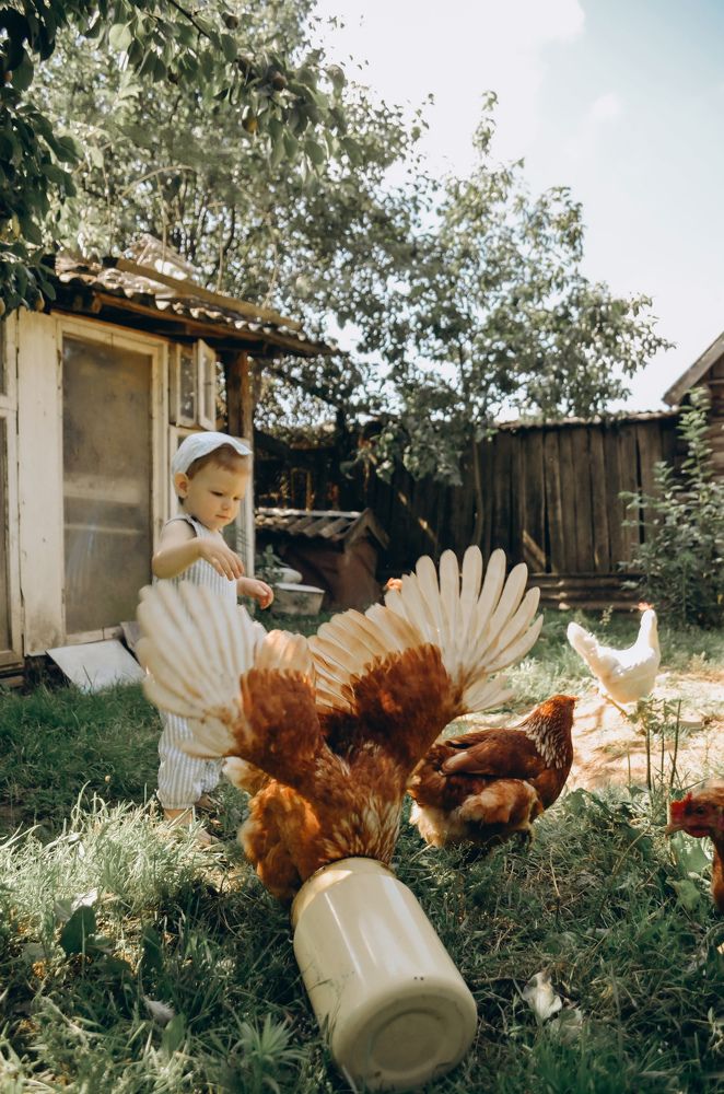 summer in the village