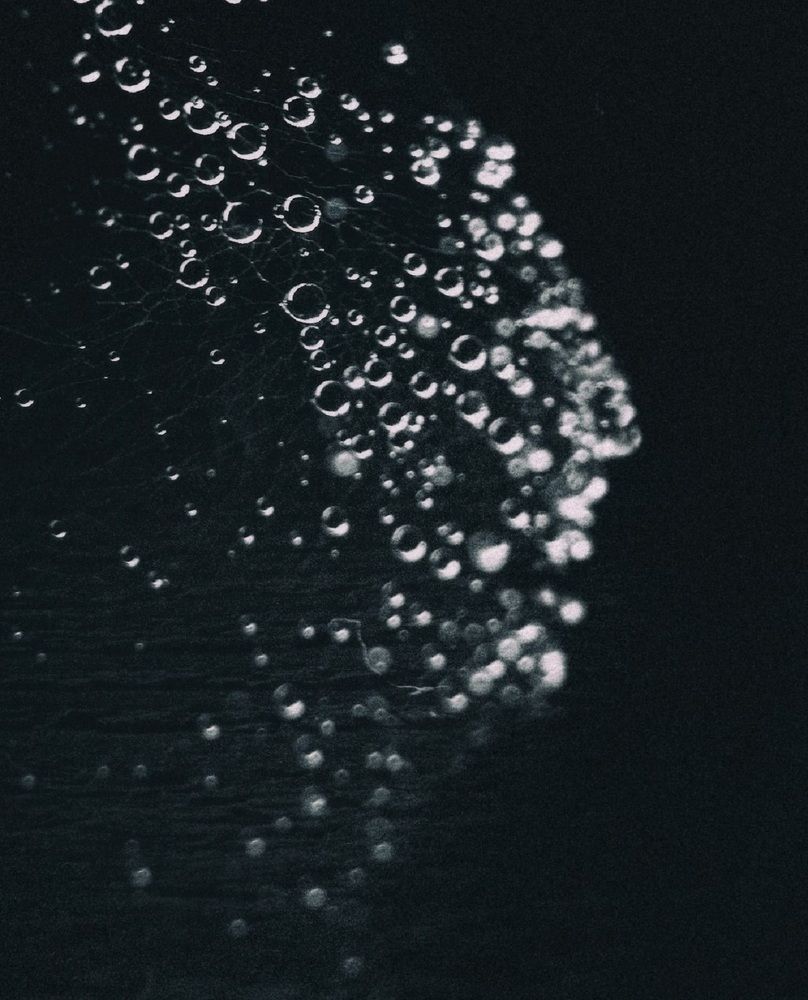 Photograph by Владимир