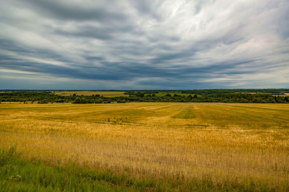 Photograph by Игорь Сидун