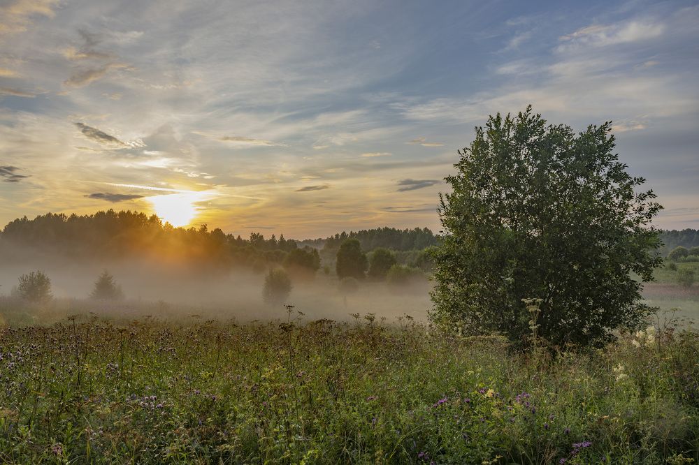 Photograph by Максим Григорьев