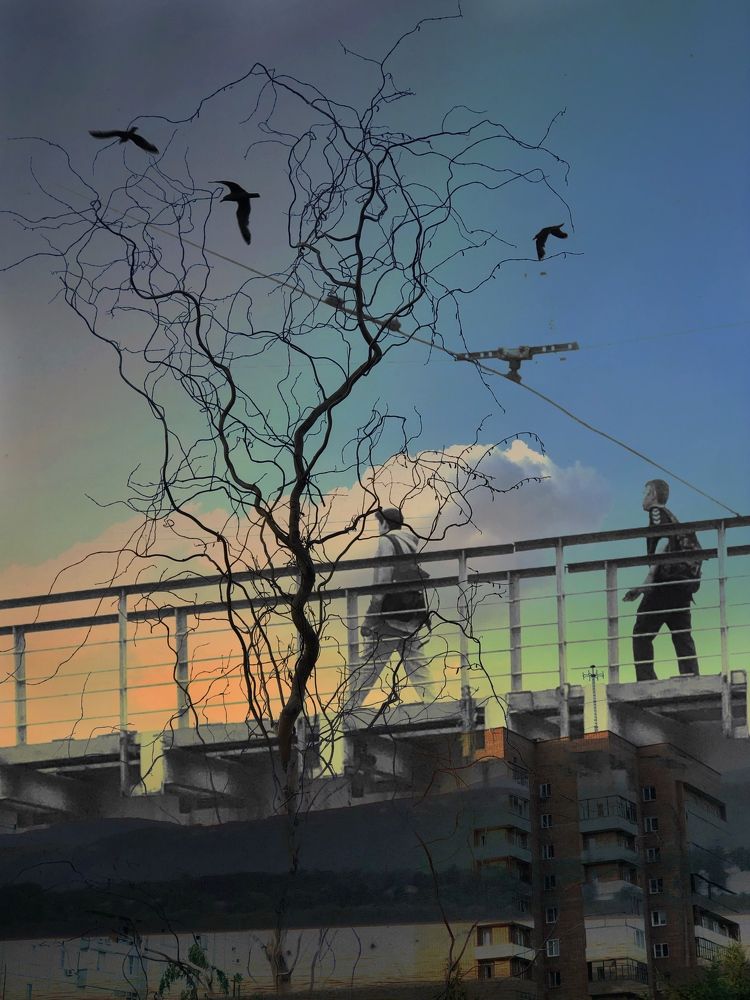 Фотография автора Светлана Гончарова