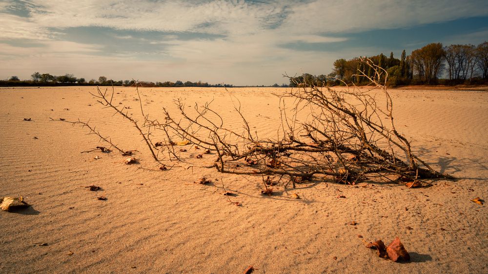 Фотография автора Вадим Коваленко