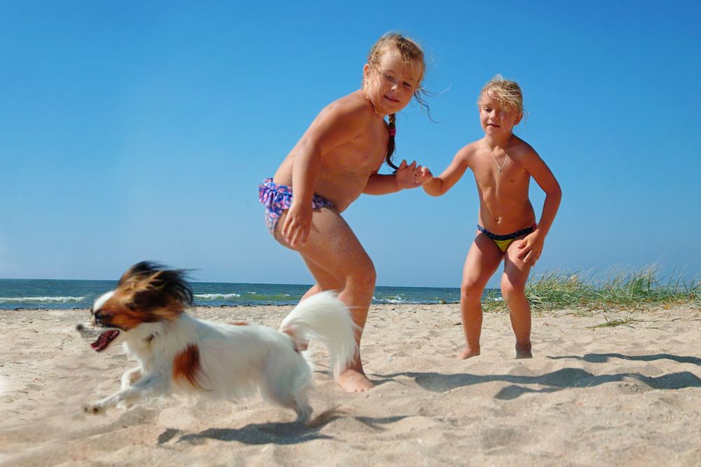 Photograph by Дмитрий Цыпляев