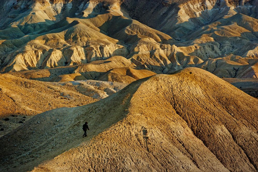 Фотография автора David Solodar