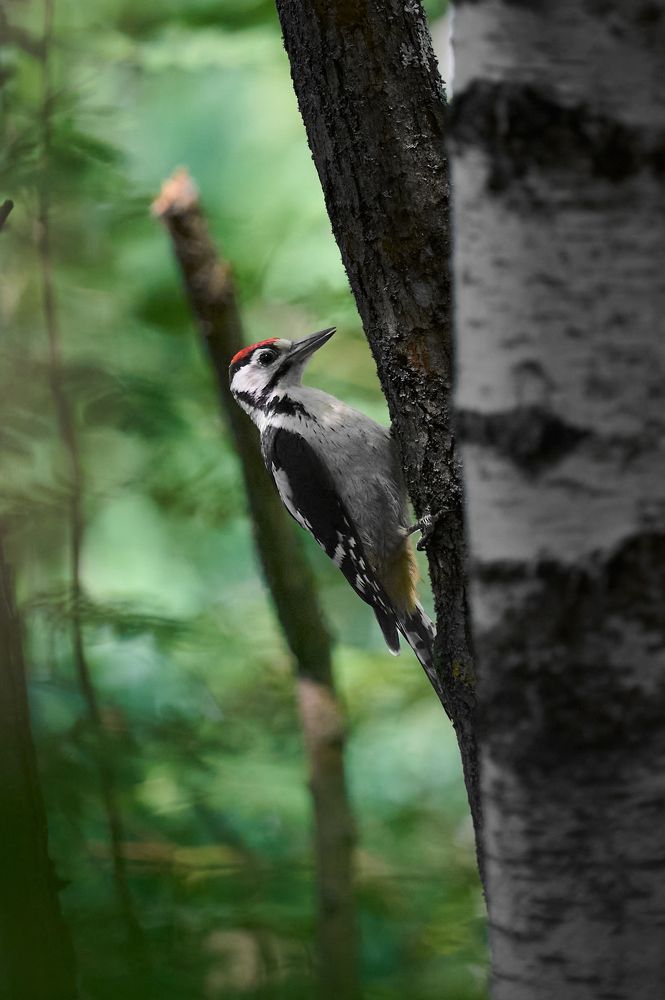 Photograph by Самосудов Рустам