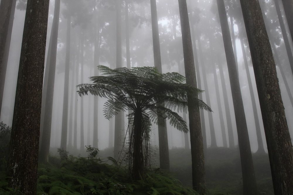 Photograph by Arindam Khatua