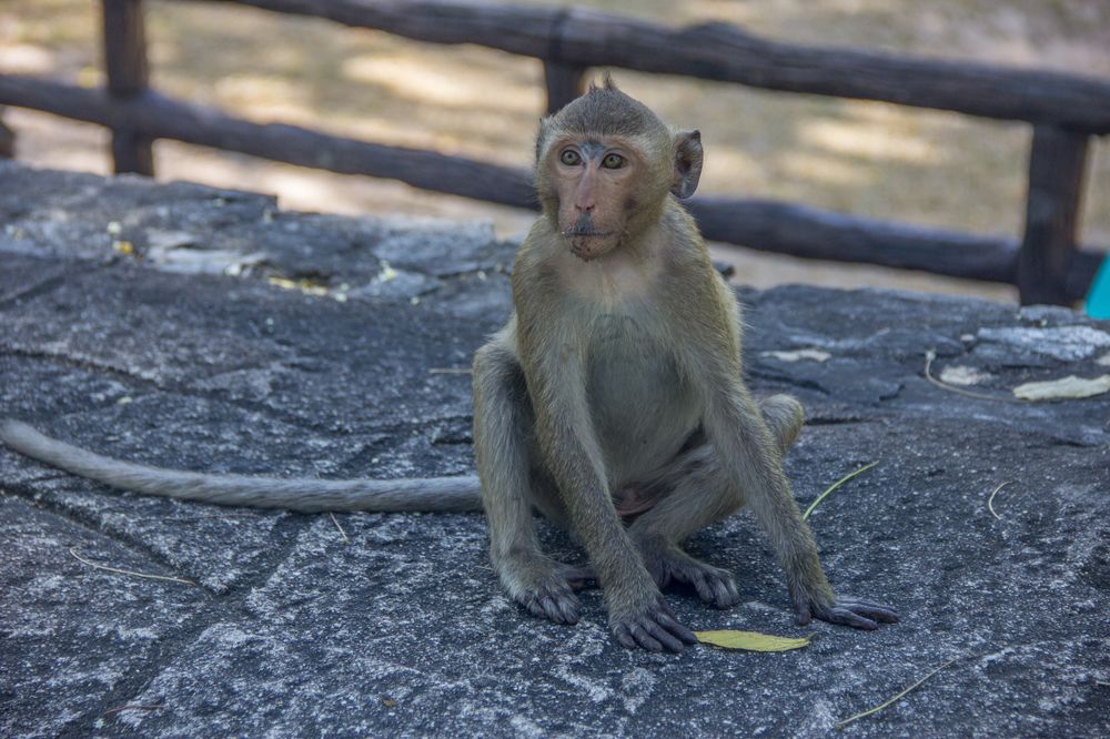 Photograph by Иван Овчинников
