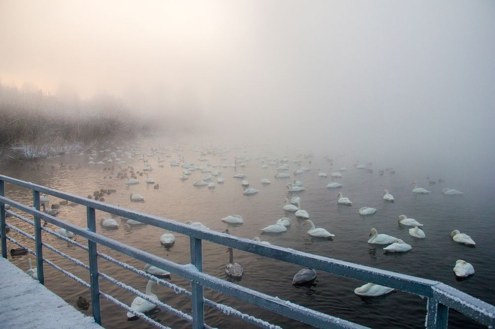 Photograph by Иван Овчинников