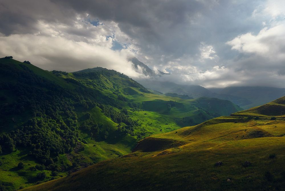 Фотография автора Алексей Бордуков