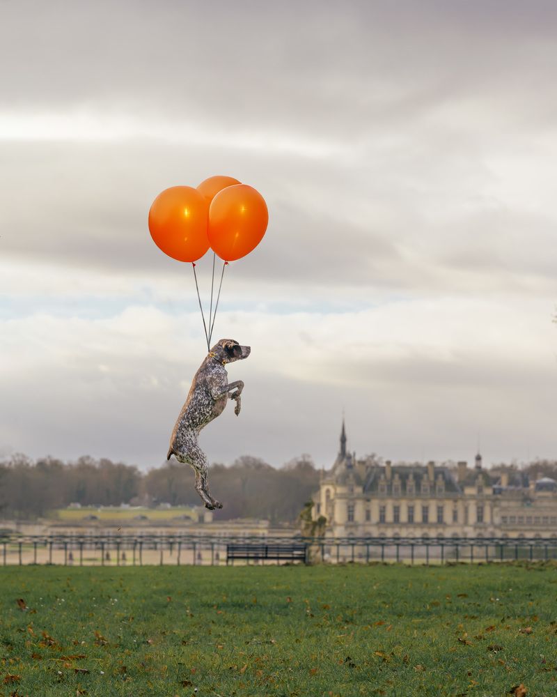 Photograph by Valérie Aubois