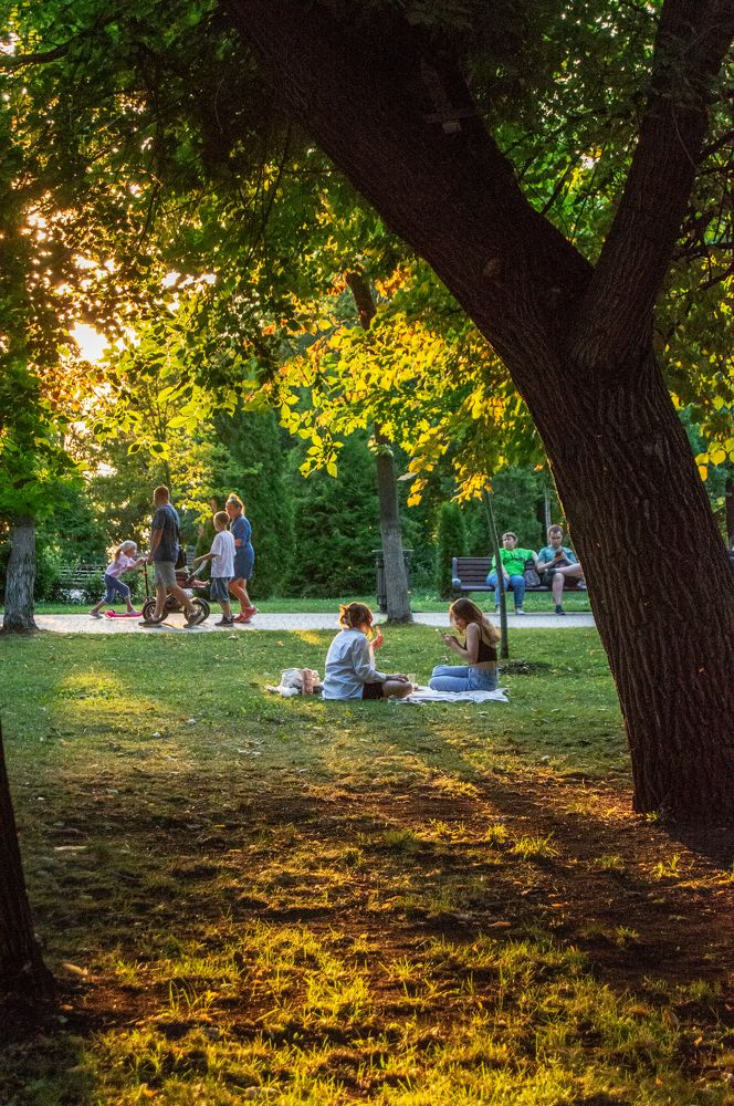 Photograph by Елизавета Гаранжа