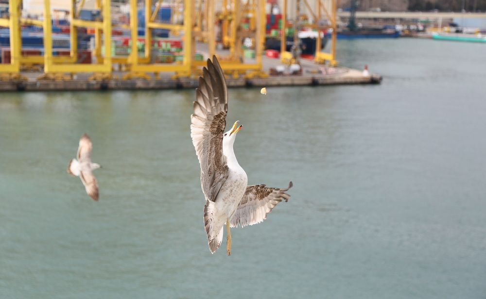 Photograph by Владимир Говоров