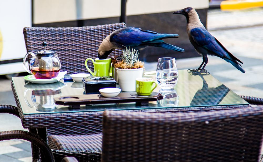 Photograph by Владимир Говоров