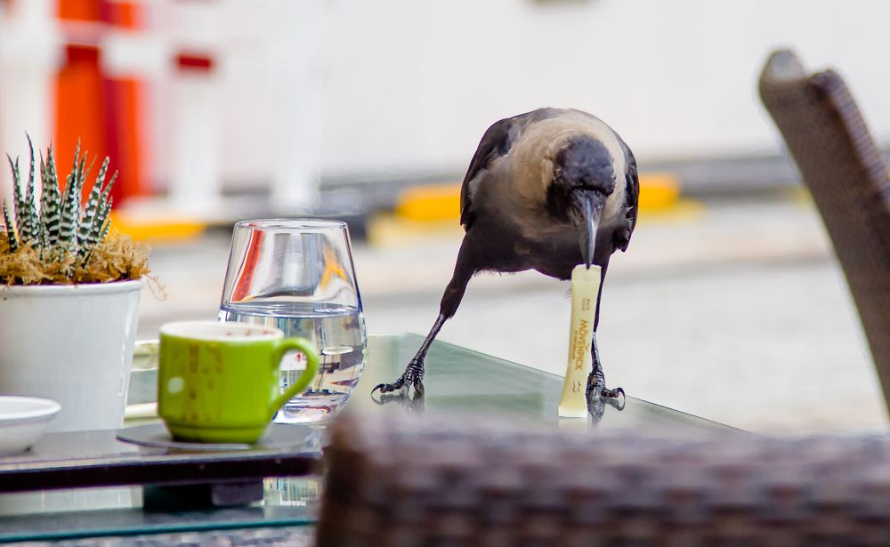 Photograph by Владимир Говоров