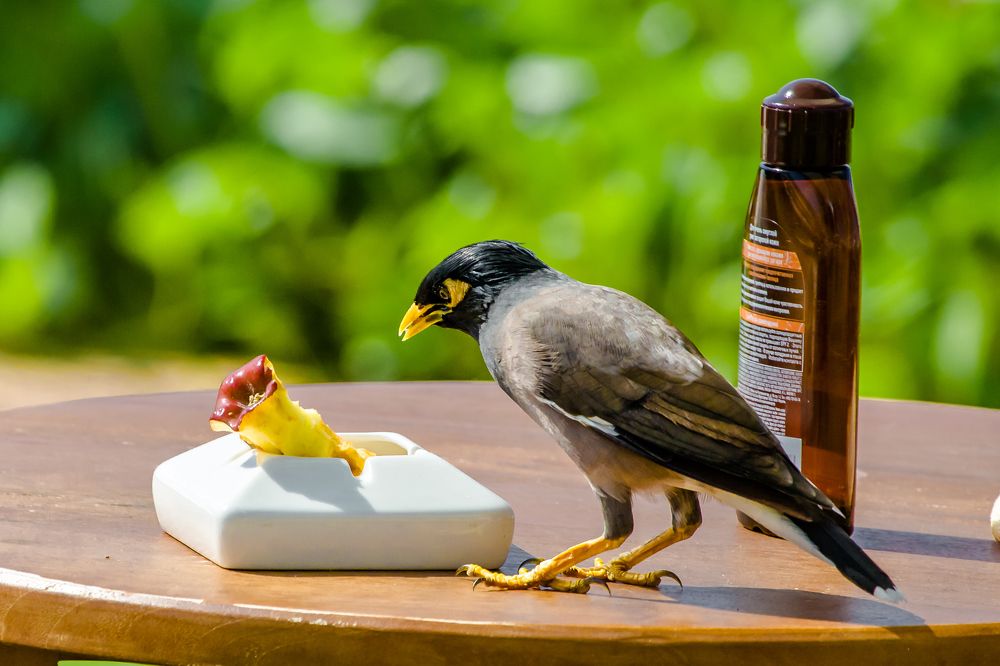 Photograph by Владимир Говоров