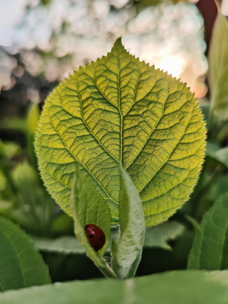 Photograph by Масленников Сергей