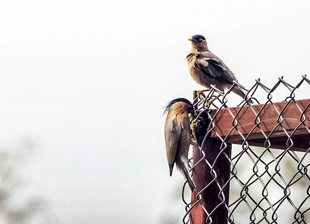 Фотография автора Pratik Chavan