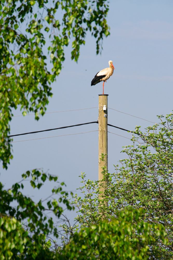 Photograph by Наталья Зверева