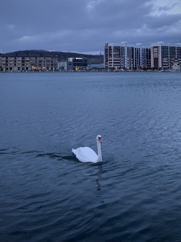 Photograph by Татьяна Семёнова