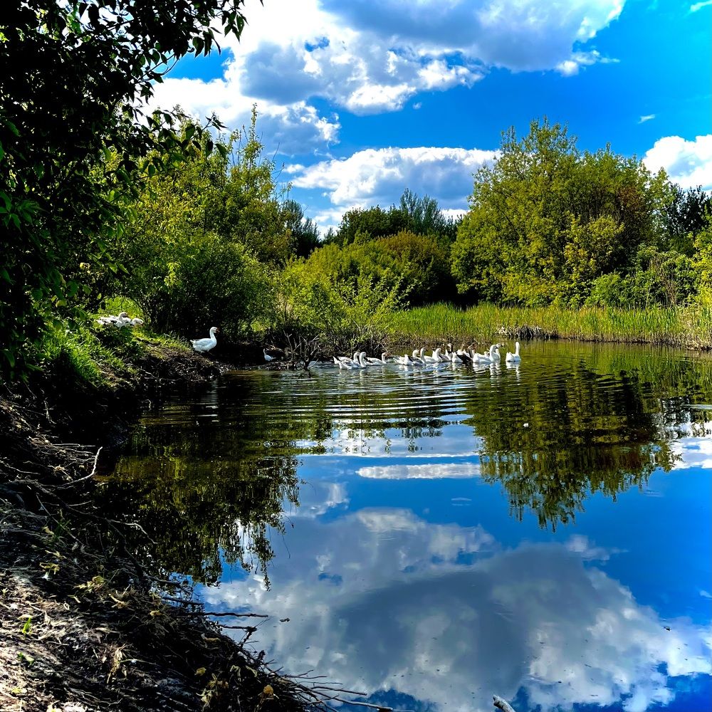 Photograph by Марина Козлова