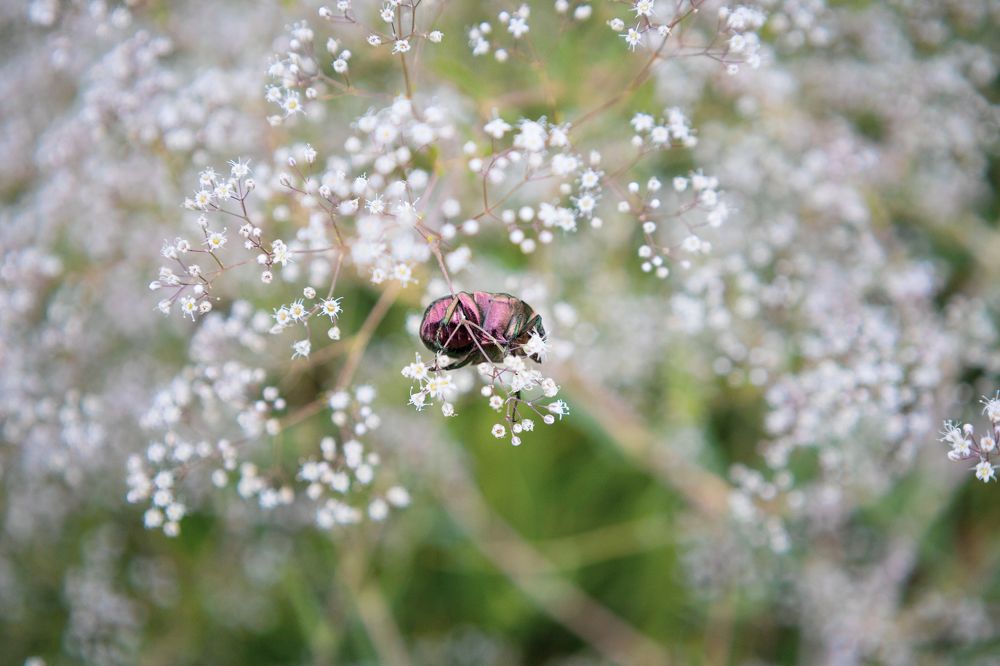 Photograph by Макарова Татьяна