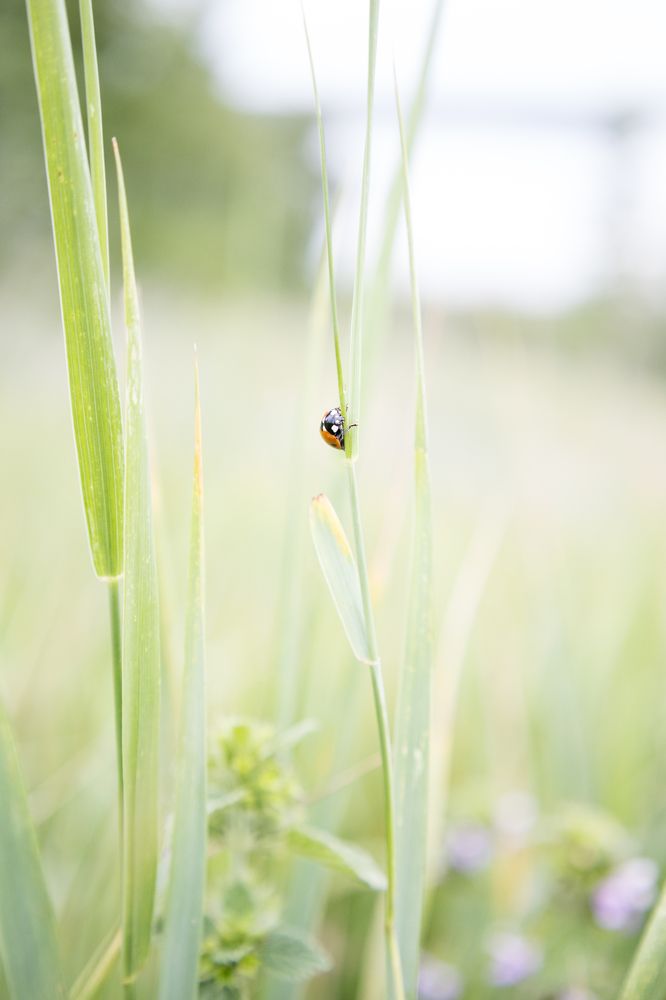Photograph by Макарова Татьяна