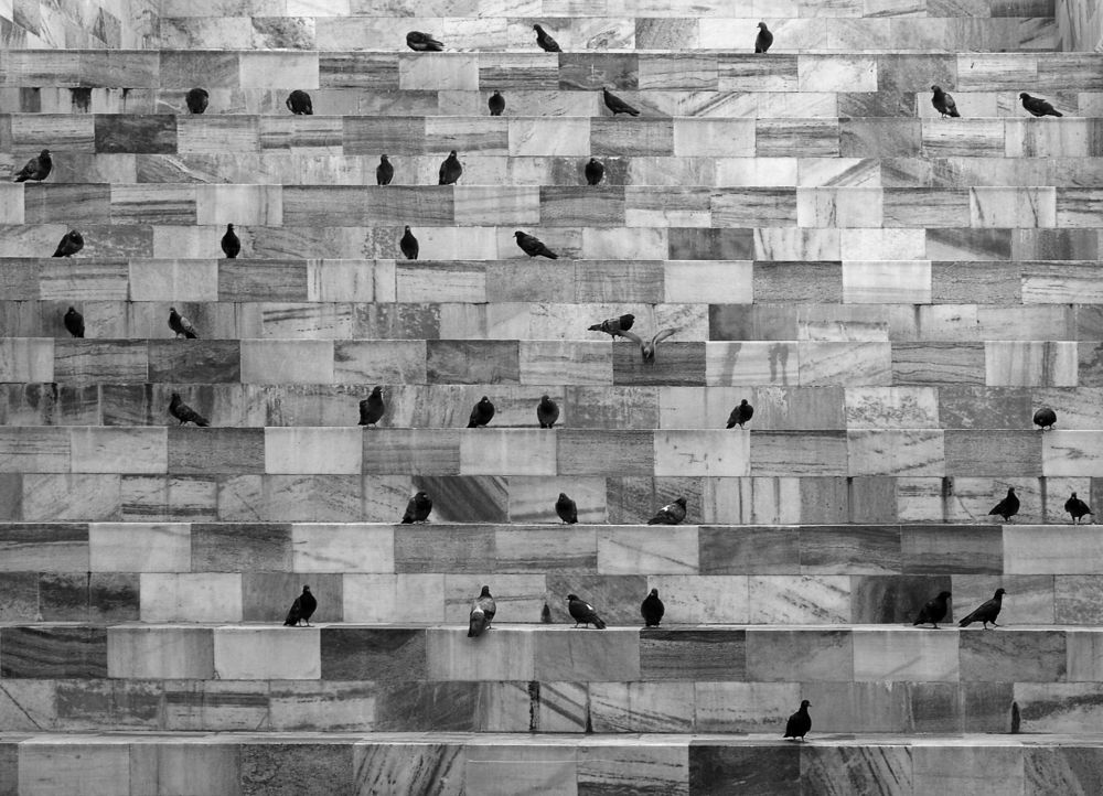 Photograph by Владимир Притчин