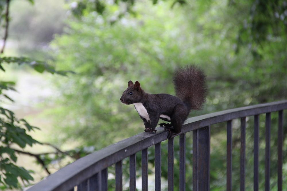Photograph by Наталья Никитенко