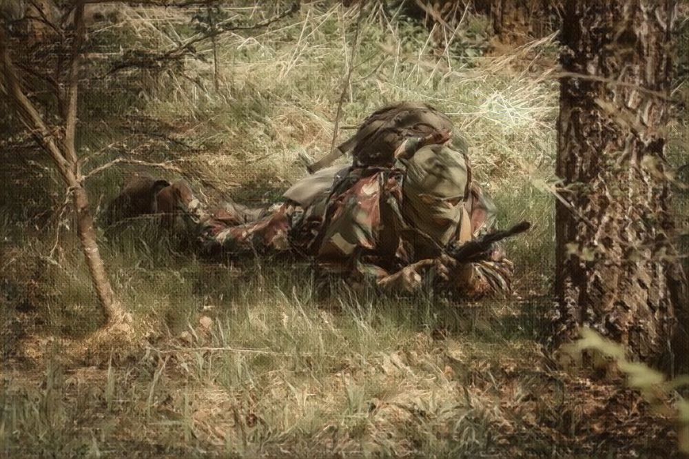 Photograph by Марина Пехтерева