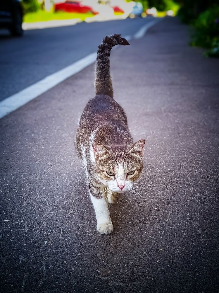 Photograph by Олега Тор