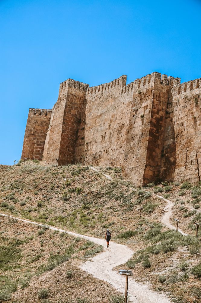 Photograph by Алексей Голубев