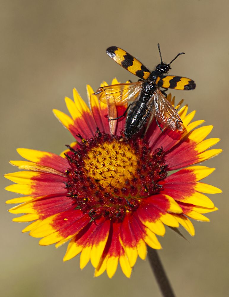 Photograph by Виталий Слёзка