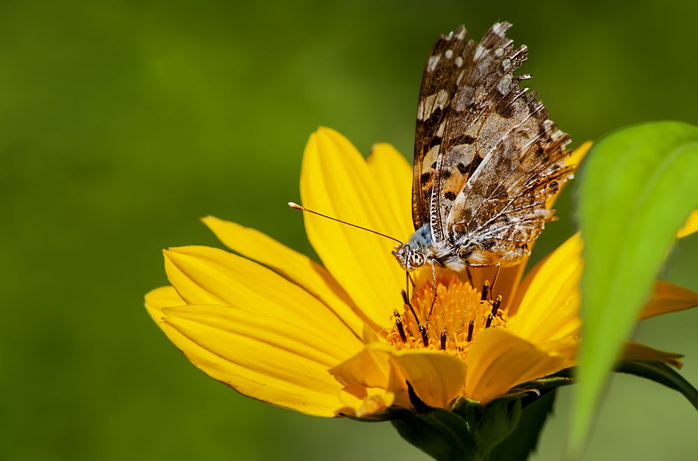 Photograph by Виталий Слёзка