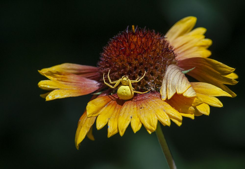 Photograph by Виталий Слёзка