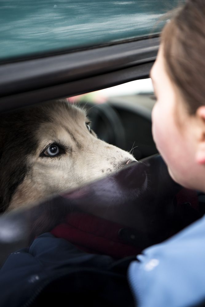 Photograph by Boytcova Anna