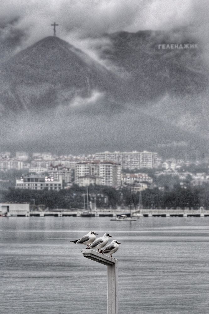 Photograph by Василиса Прекрасная