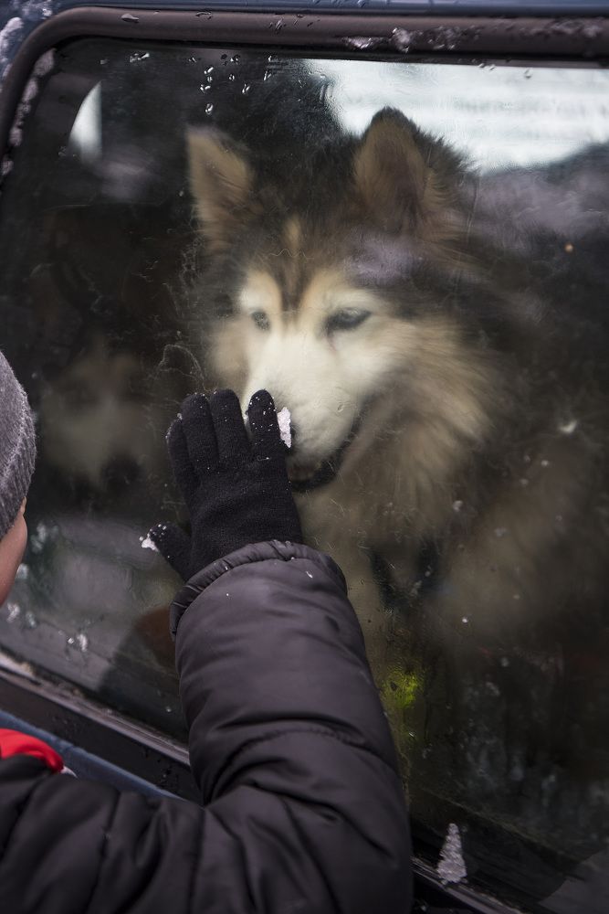 Photograph by Boytcova Anna