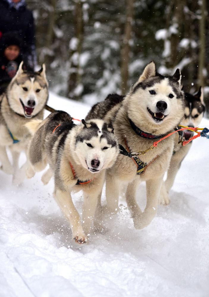 Photograph by Boytcova Anna