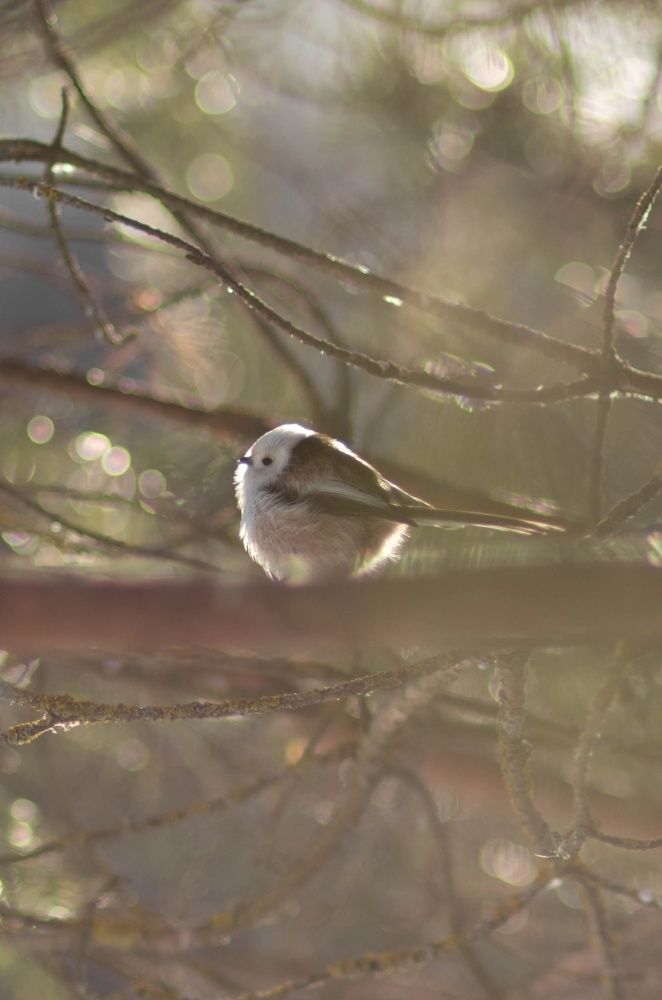 Photograph by Ксения Незговорова