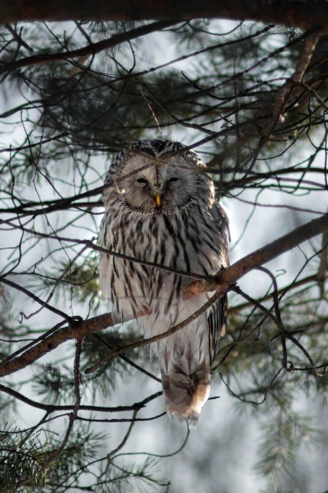 Photograph by Ксения Незговорова