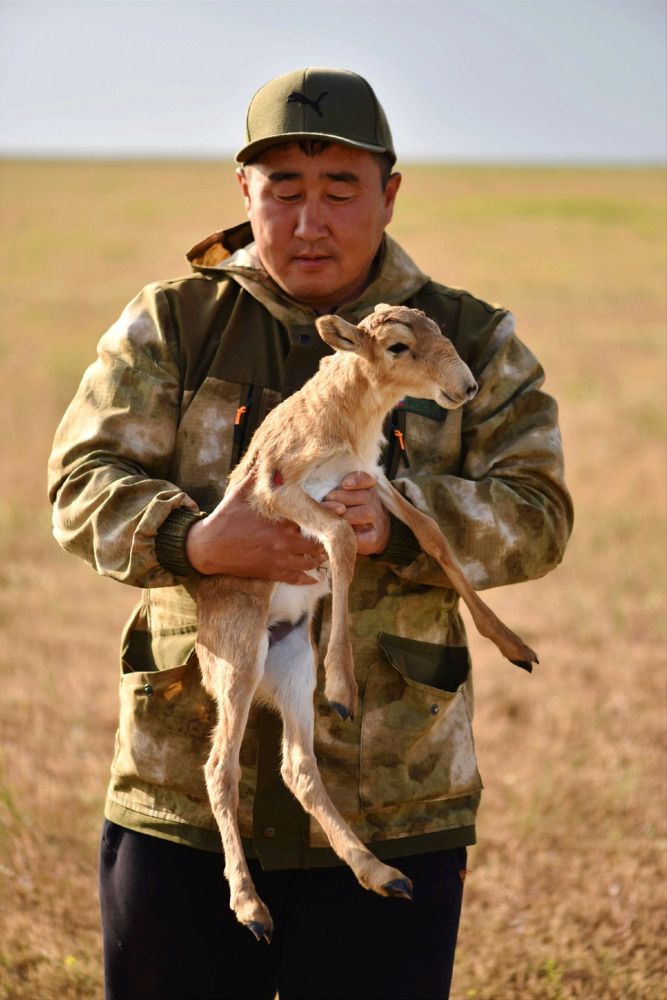 Photograph by Boytcova Anna