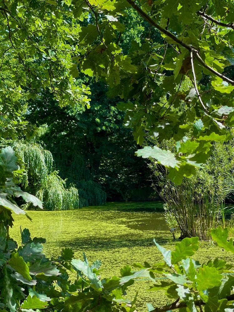 Фотография автора Елена Меньшикова