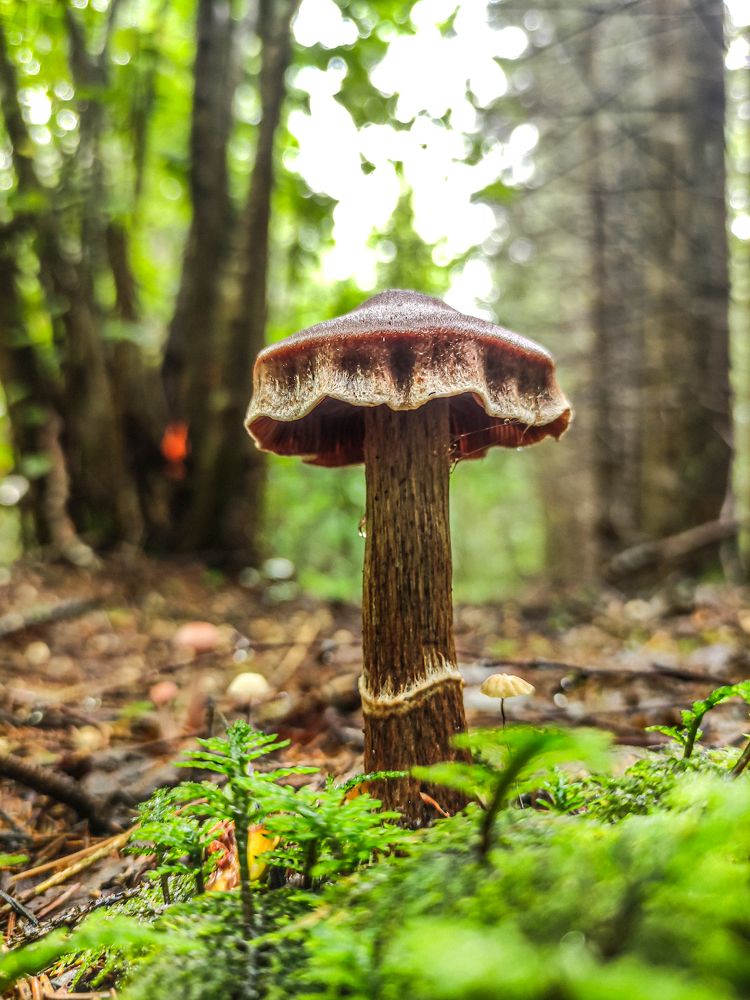 Photograph by Дмитрий Малышев