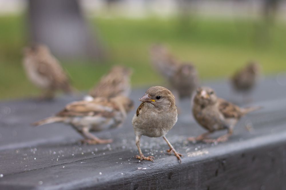 Photograph by Дарья Улюсова