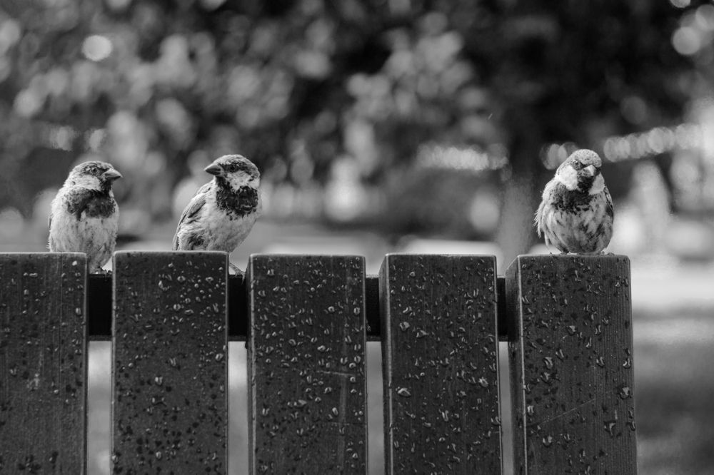 Photograph by Дарья Улюсова