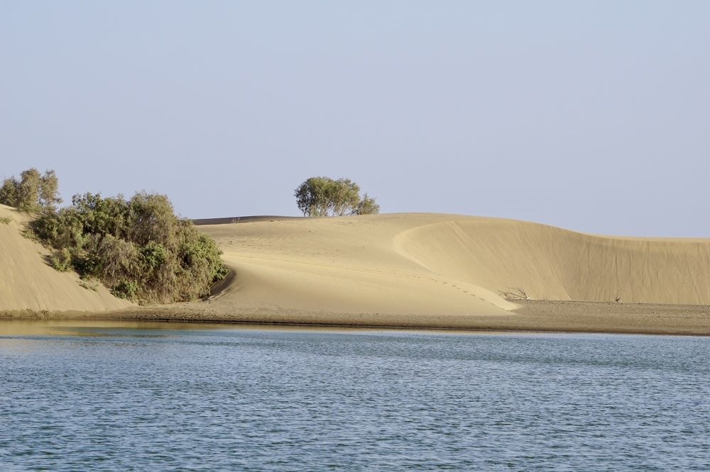 Фотография автора Liudmila Kiermeier