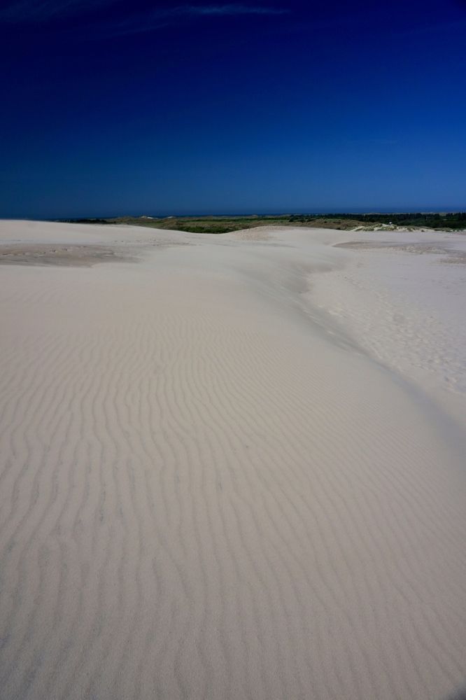 Photograph by Liudmila Kiermeier