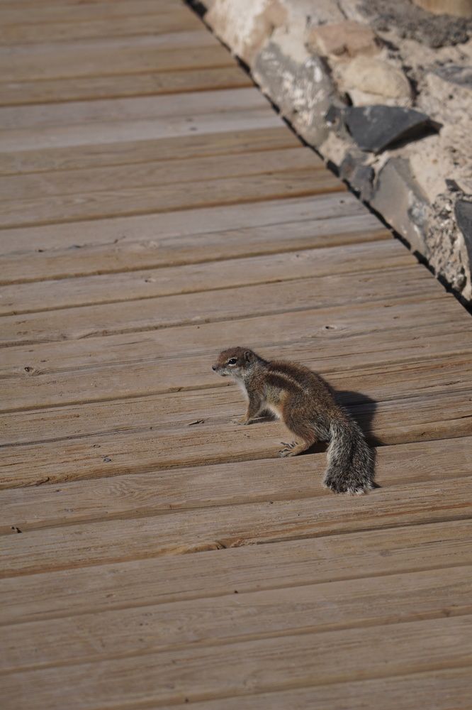 Фотография автора Liudmila Kiermeier