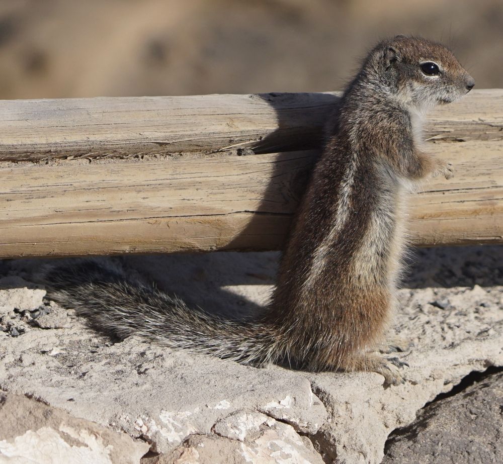 Фотография автора Liudmila Kiermeier