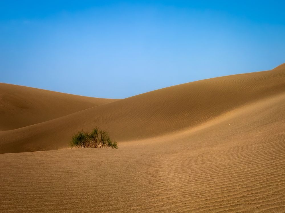 Photograph by Riahi Hosein